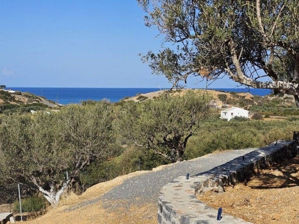 Maisonette - Grekodom 61712|933949