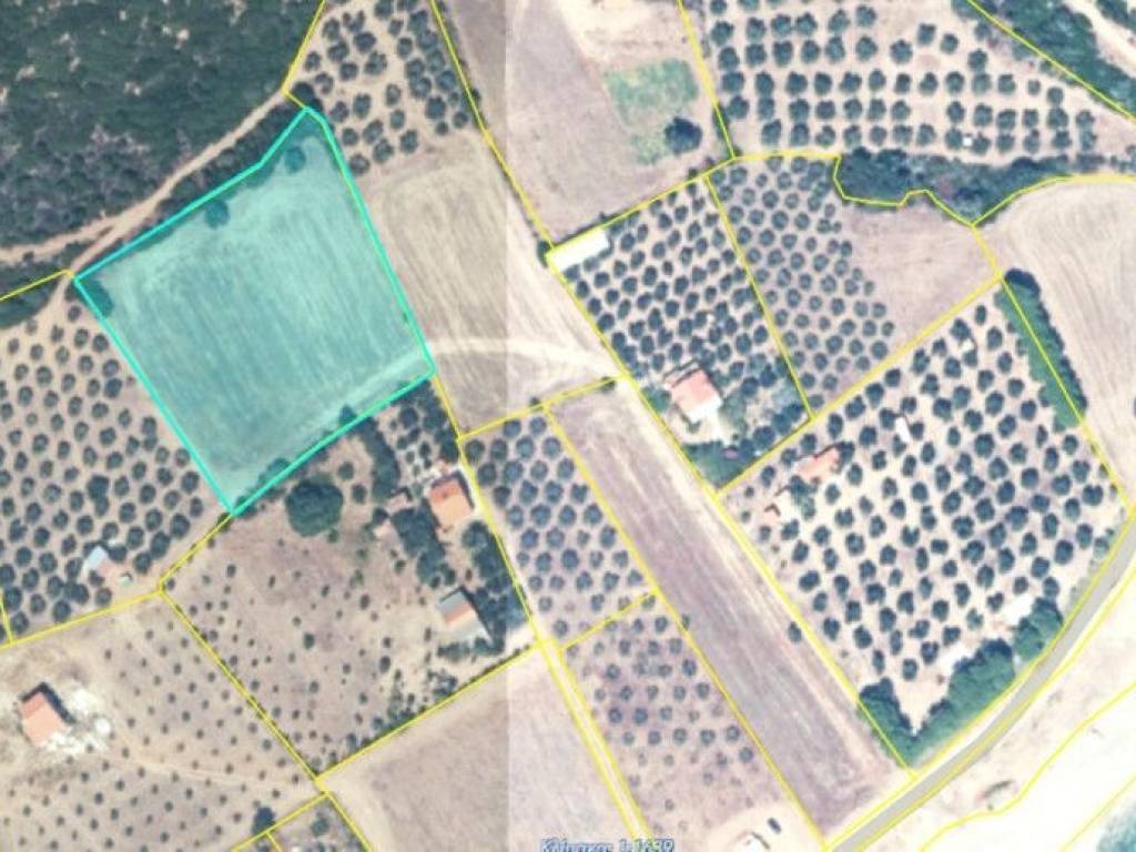 Plot - Grekodom 61751|934466