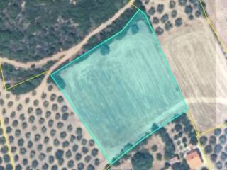 Plot - Grekodom 61751|934468