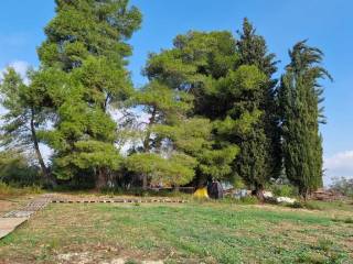 Plot - Grekodom 61705|933797