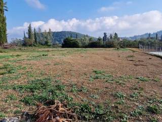 Plot - Grekodom 61705|933798