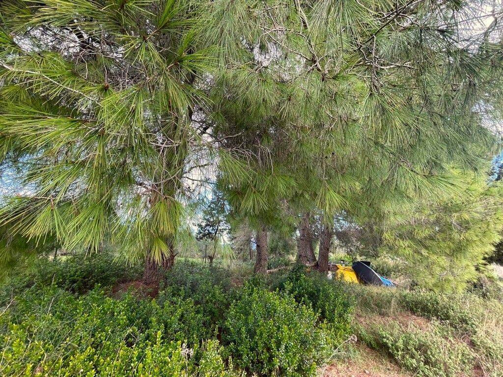 Plot - Grekodom 61705|933801