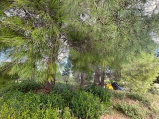 Plot - Grekodom 61705|933801