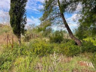 Plot - Grekodom 61705|933800