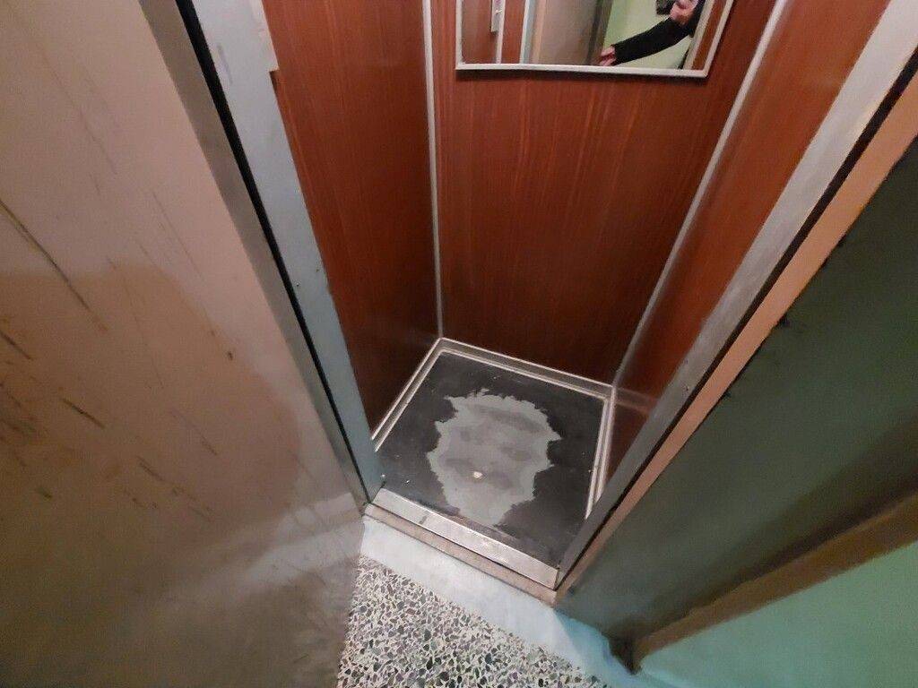 Apartment - Grekodom 61792|935846