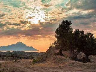 Apartment - Grekodom 33292|518810