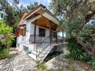 Detached - Grekodom 61911|984254