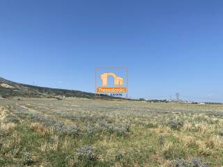 Παλαιόκαστρο, Αγροτεμάχιο, 1.000 τ.μ.