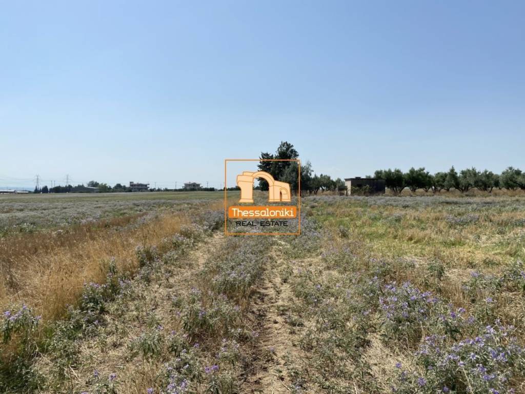 Παλαιόκαστρο, Αγροτεμάχιο, 1.000 τ.μ.