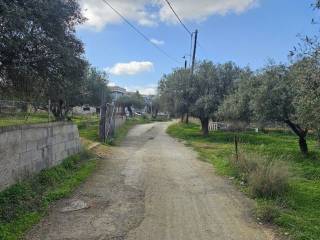 Plot - Grekodom 62112|948422