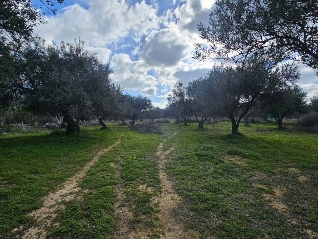 Plot - Grekodom 62112|948425