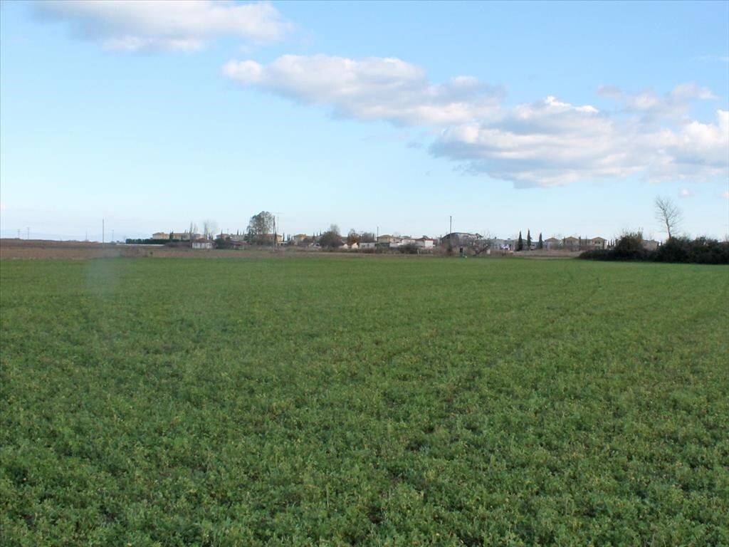 Plot - Grekodom 62136|949730