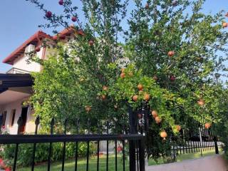 Villa - Grekodom 57904|828201