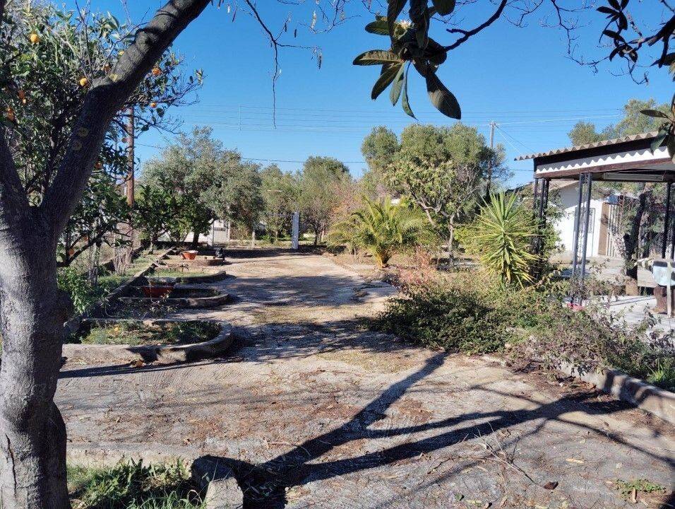 Detached - Grekodom 61819|936512