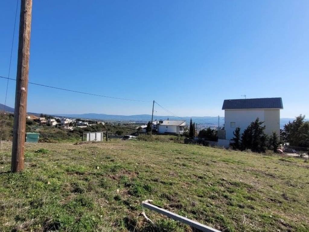 Plot - Grekodom 62508|961728