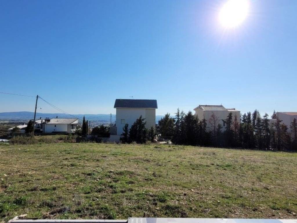 Plot - Grekodom 62508|961729