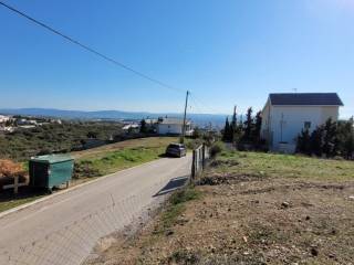 Plot - Grekodom 62508|961727