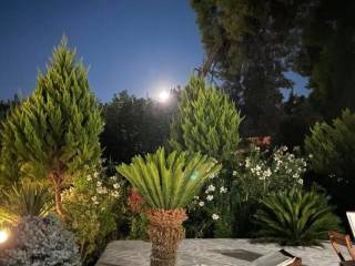 Detached - Grekodom 62760|969139