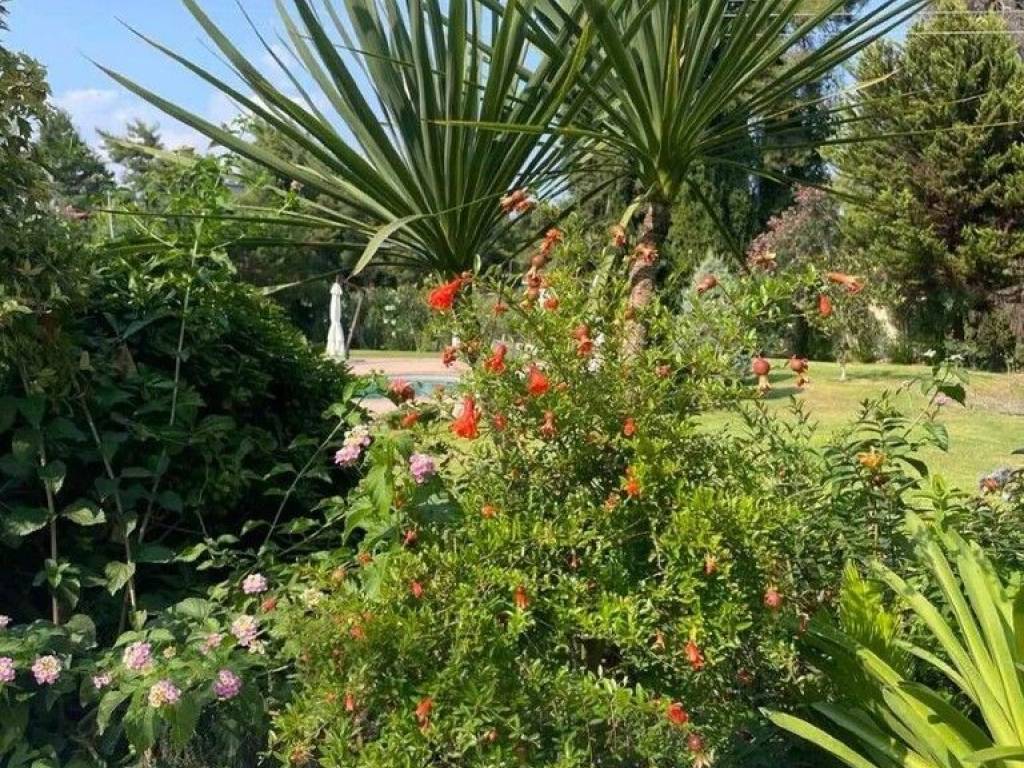 Detached - Grekodom 62760|969147