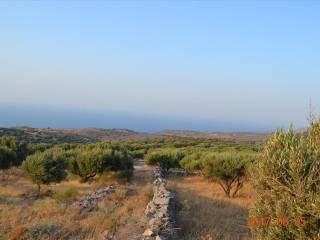 Plot - Grekodom 62759|969150