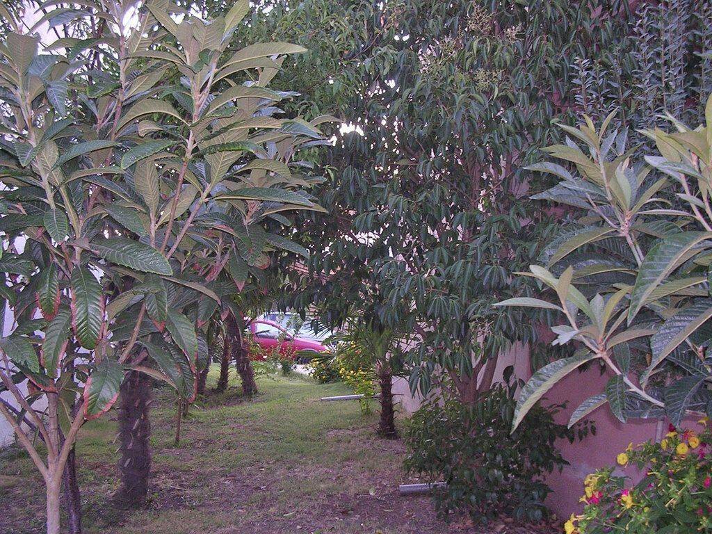 Detached - Grekodom 62864|971875