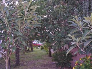 Detached - Grekodom 62864|971875