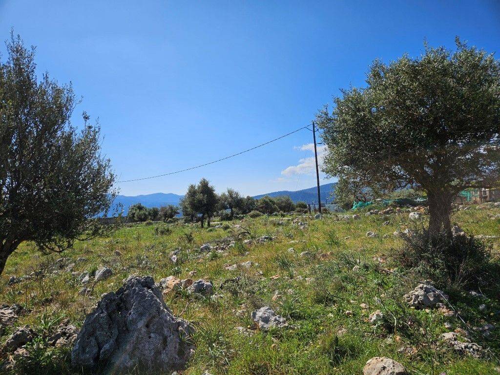 Plot - Grekodom 62877|972062