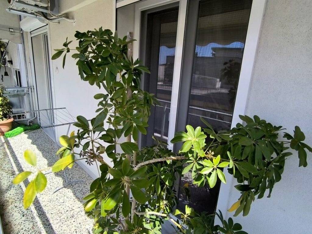 Apartment - Grekodom 62896|972815