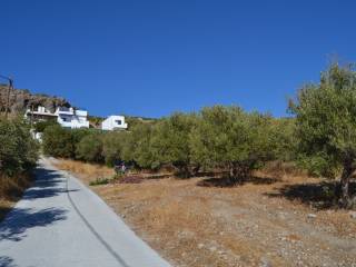 Plot - Grekodom 62893|972771