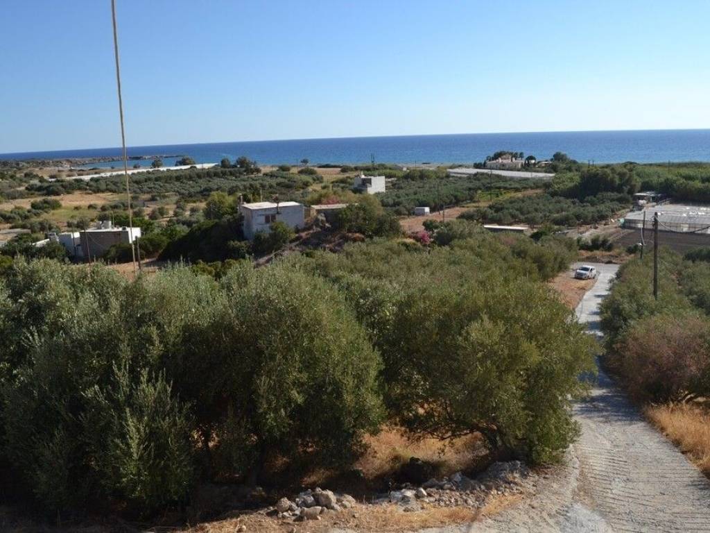 Plot - Grekodom 62893|972772