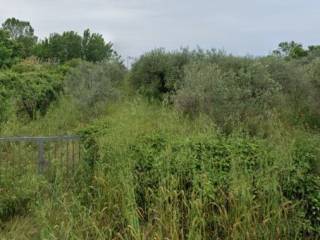 Plot - Grekodom 62927|974771