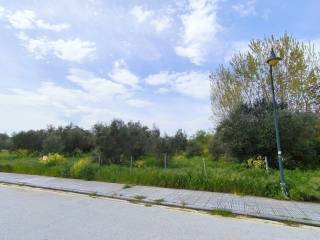 Plot - Grekodom 62927|975427