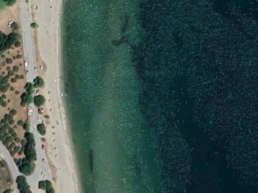 Plot - Grekodom 62927|974770