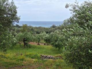 Plot - Grekodom 62957|975281