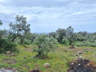 Plot - Grekodom 62957|975276