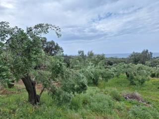 Plot - Grekodom 62957|975279