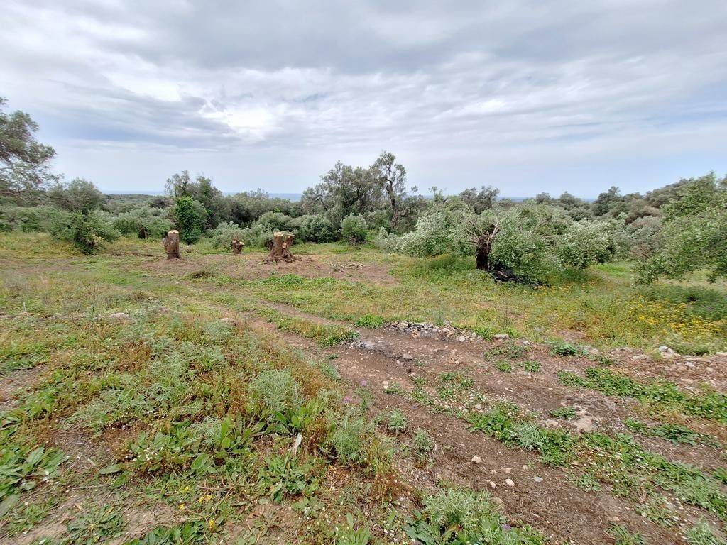 Plot - Grekodom 62957|975275