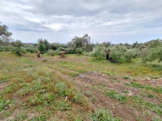 Plot - Grekodom 62957|975275