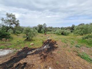 Plot - Grekodom 62957|975277