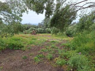 Plot - Grekodom 62957|975278