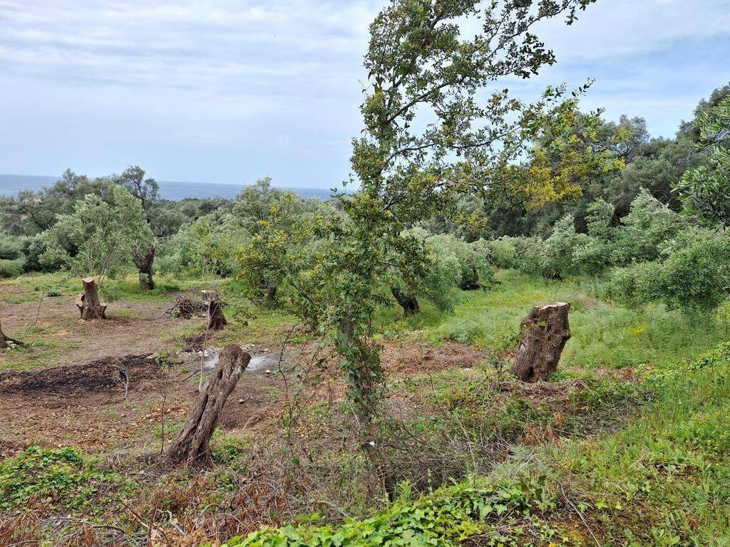 Plot - Grekodom 62957|975282