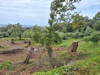 Plot - Grekodom 62957|975282