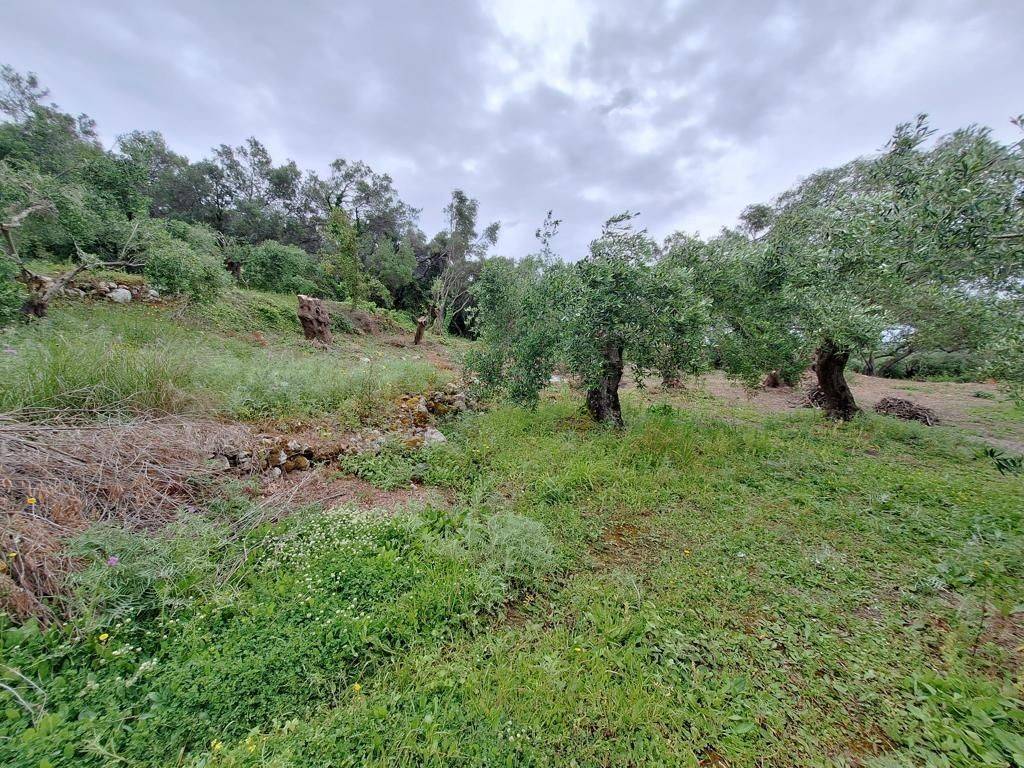 Plot - Grekodom 62957|975283