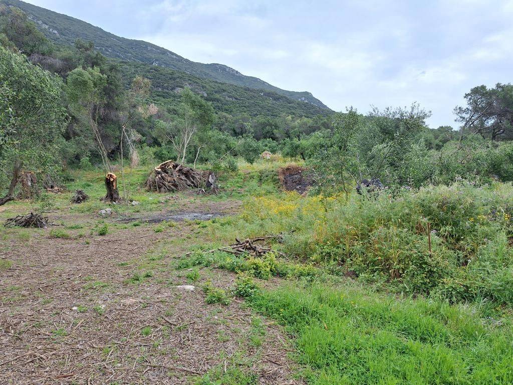 Plot - Grekodom 62957|975284