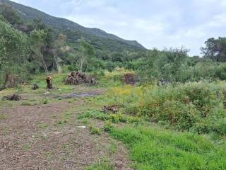 Plot - Grekodom 62957|975284