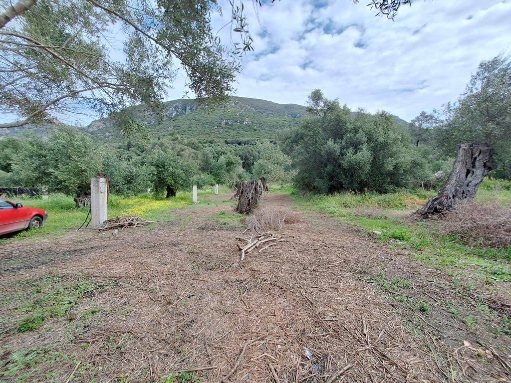 Plot - Grekodom 62957|975287