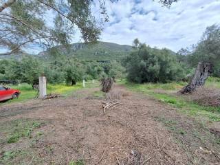 Plot - Grekodom 62957|975287