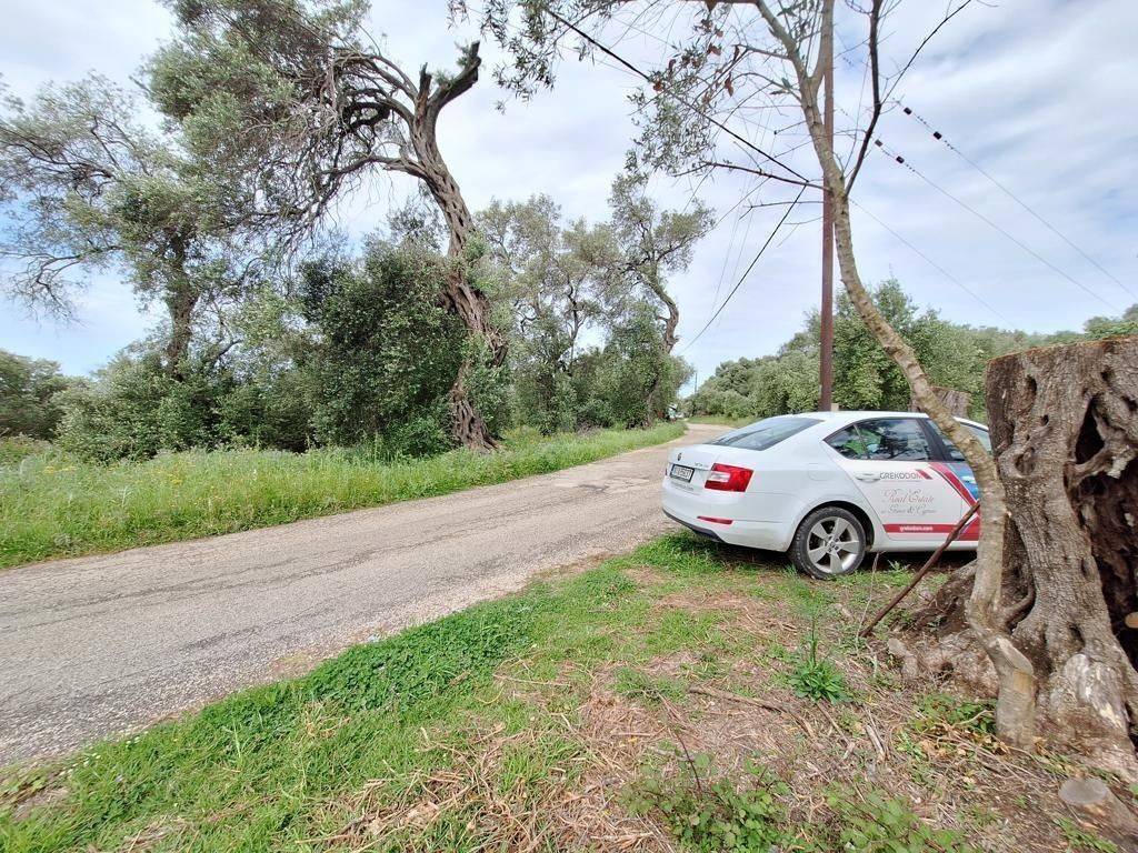 Plot - Grekodom 62957|975286