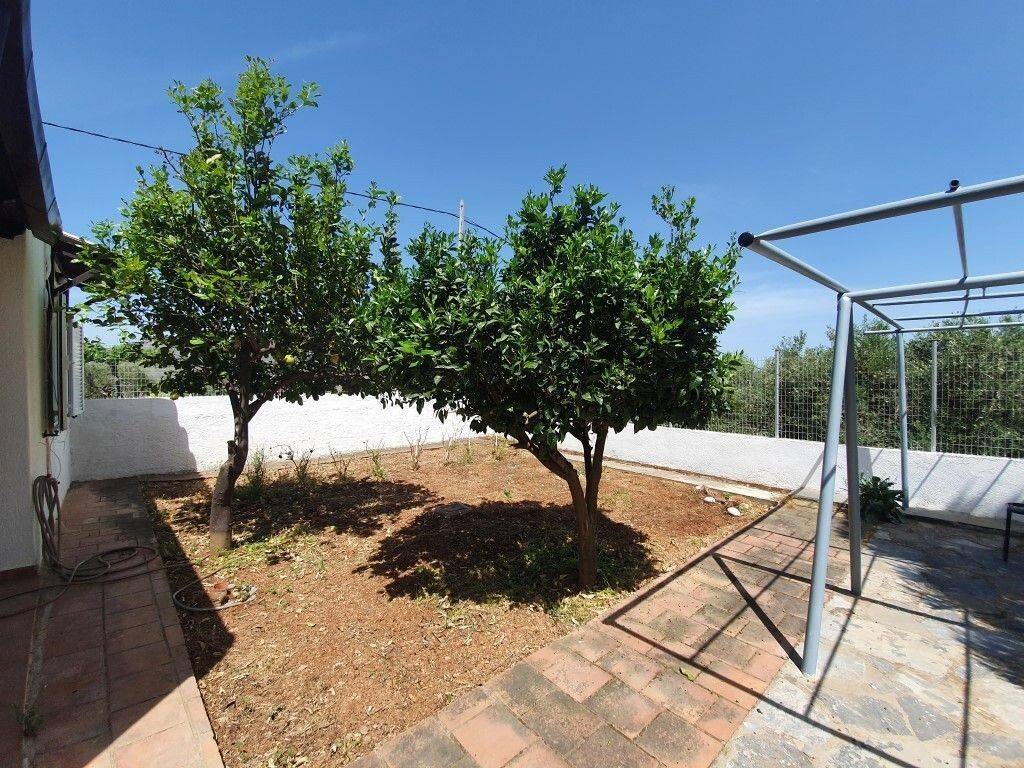 Detached - Grekodom 62964|975442