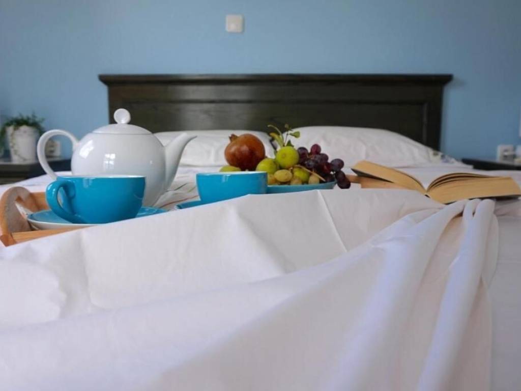 Hotel - Grekodom 63000|976440